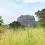 The Wild Elephant Resort