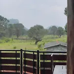 The Wild Elephant Resort