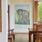 The Wild Elephant Resort