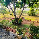Fairview Dill Homestay