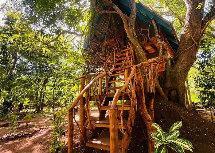 Ali Adi Eco Lodge
