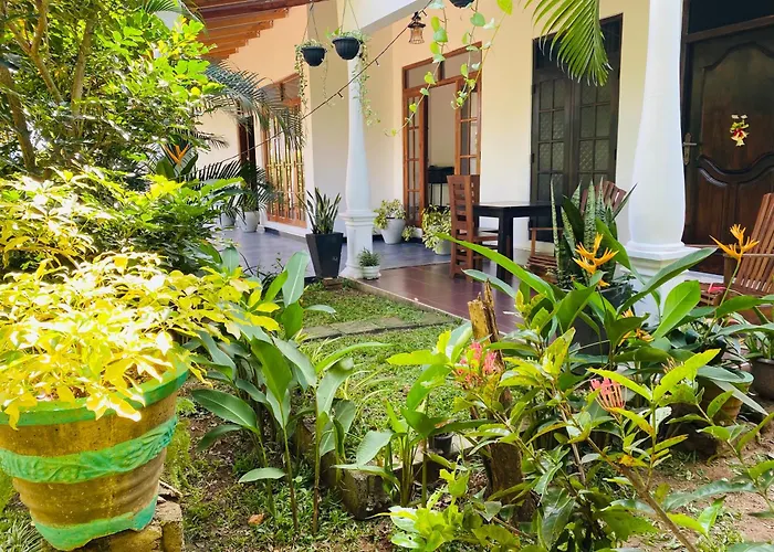 Fairview Dill Homestay