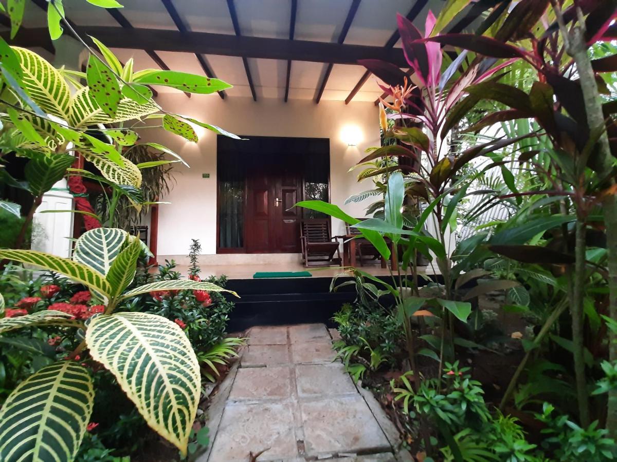 The Otunna Guest house Sigiriya
