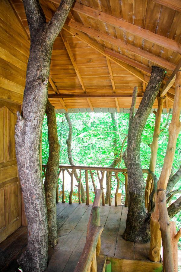 Lotus Eco Villa *