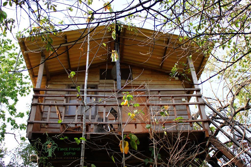 The Thick Forest Sigiriya