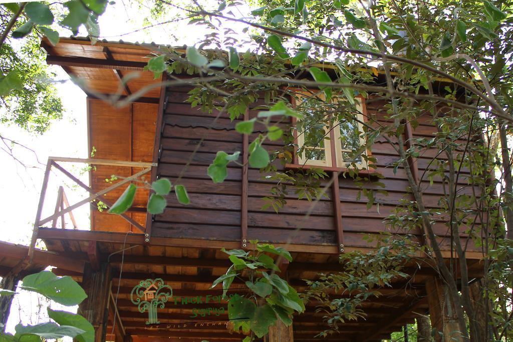 The Thick Forest Lodge *