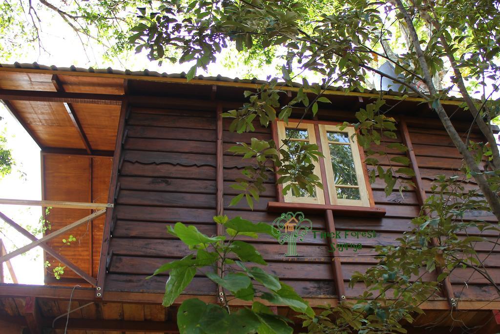 Lodge The Thick Forest Sigiriya
