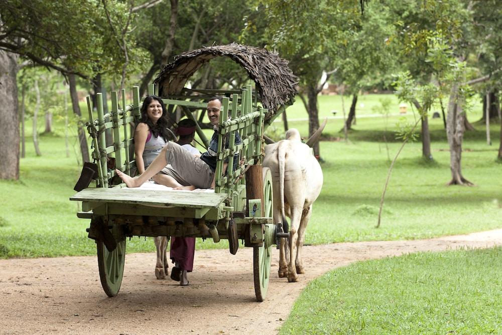 Amaya Dambulla Resort Sigiriya