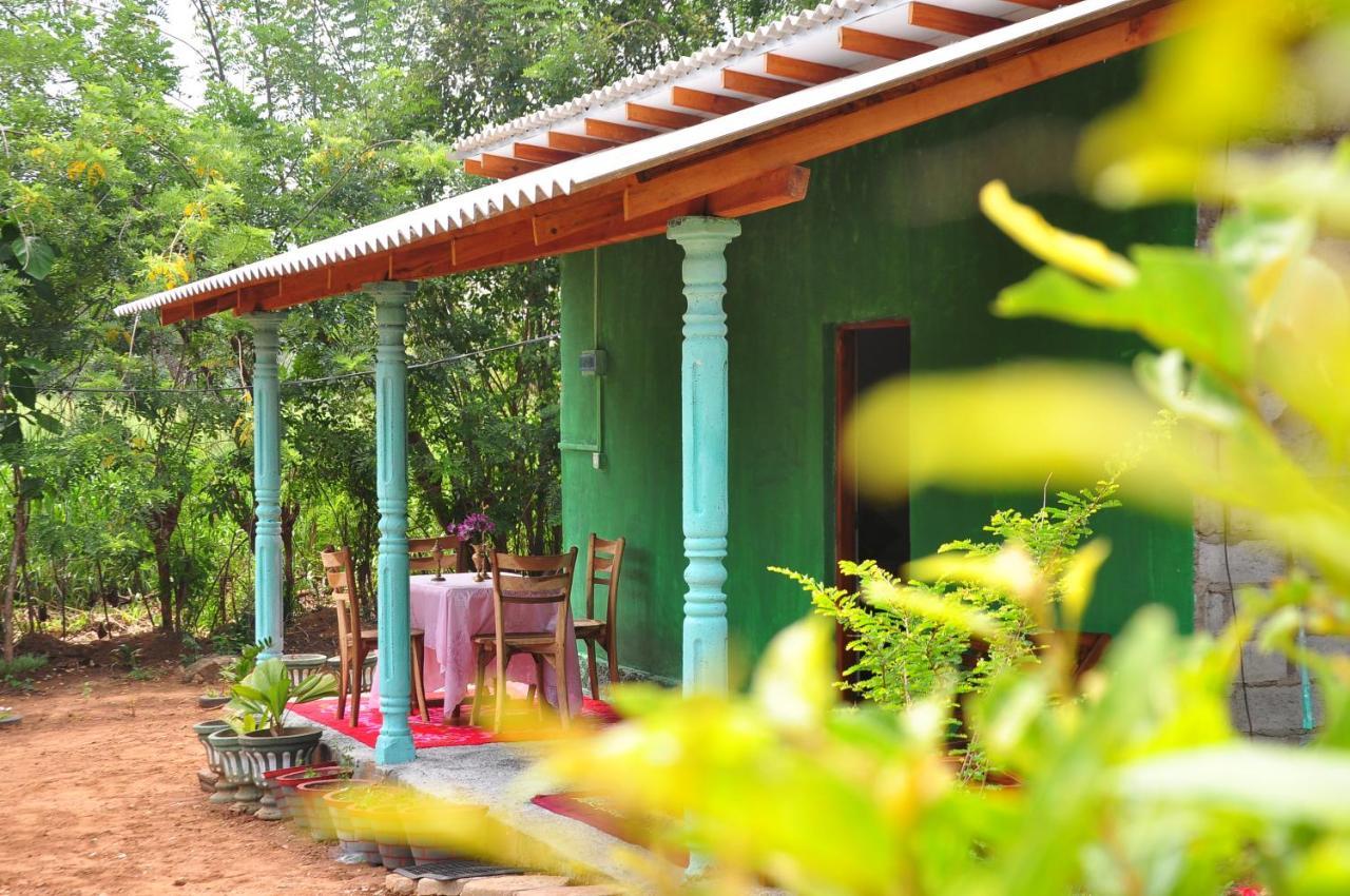 Homestay Organic Farm Wish Prabha View *