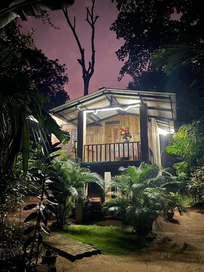 Ruk Sewana Tree House Apartment *