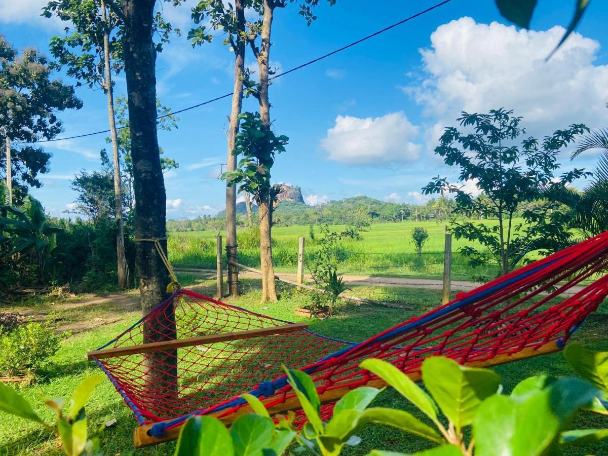 Lucky Sigiriya