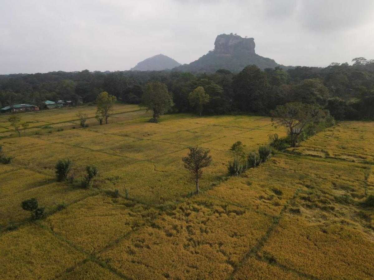 Paradise Guest house Sigiriya