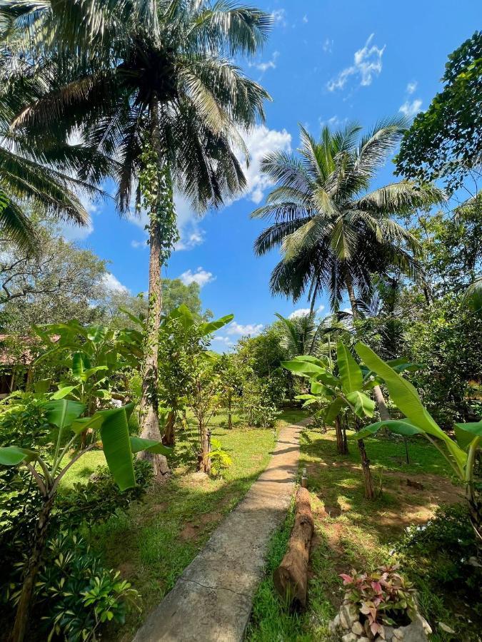 Liyon Rest Guest house