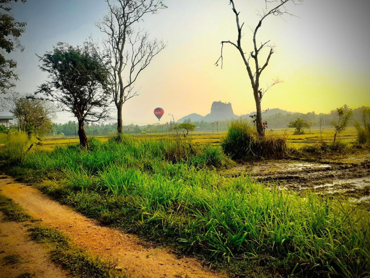 Homestay Lucky Sigiriya