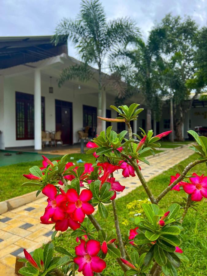 Homestay Garden *