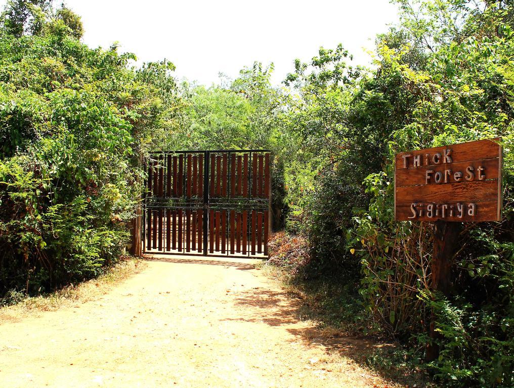 The Thick Forest Lodge Sigiriya