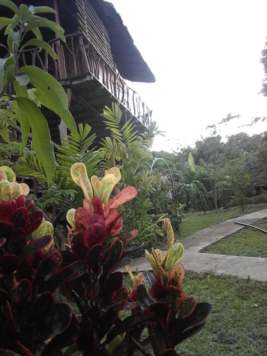 Resort Rock Gate 3*