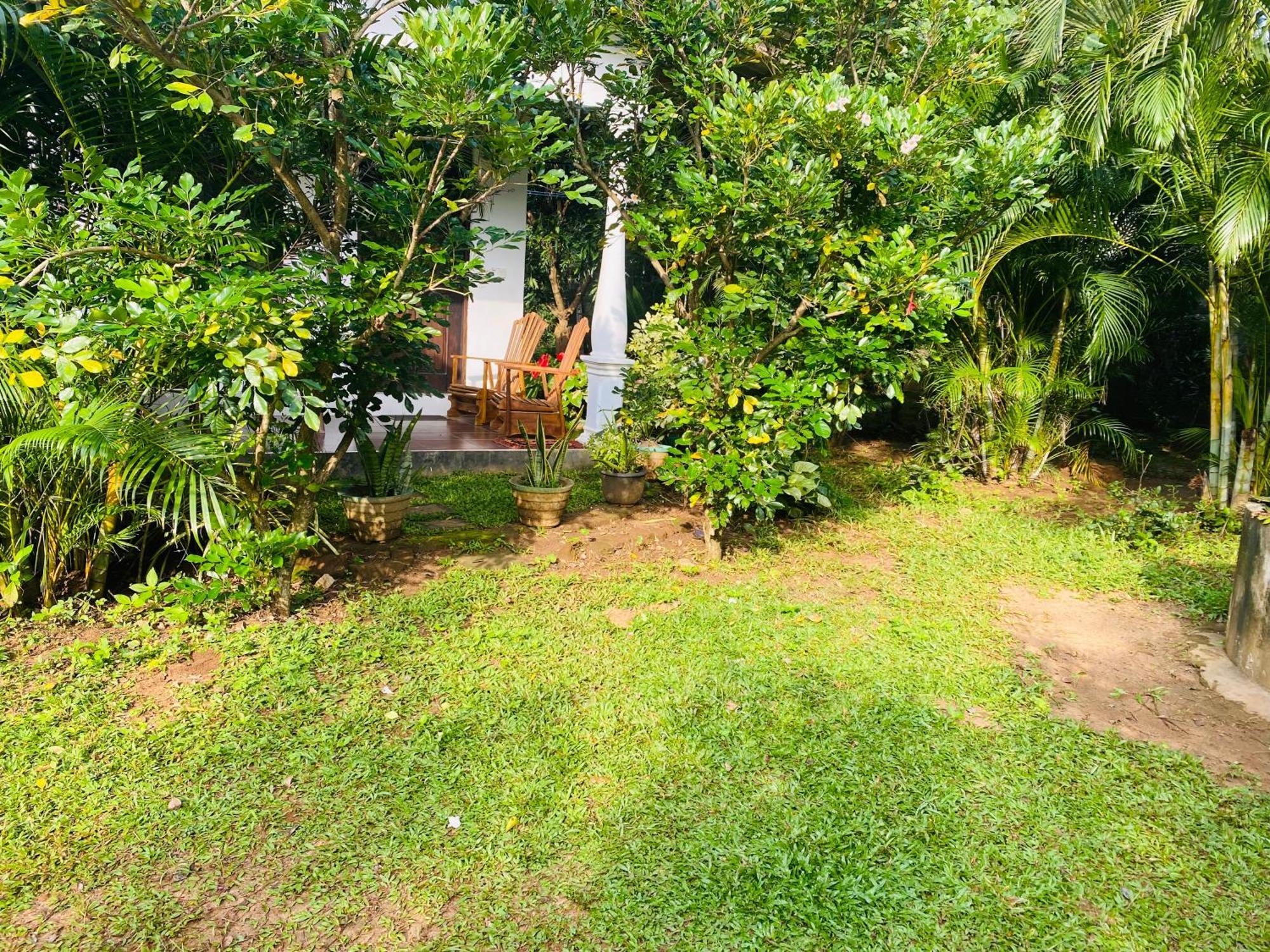 Fairview Dill Homestay