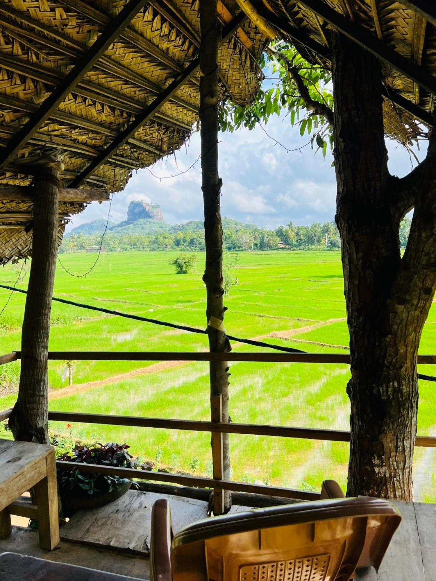 Lucky Homestay
