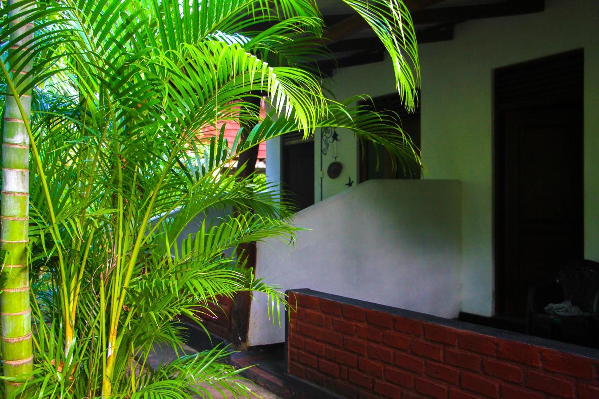 Kolon 2* Sigiriya