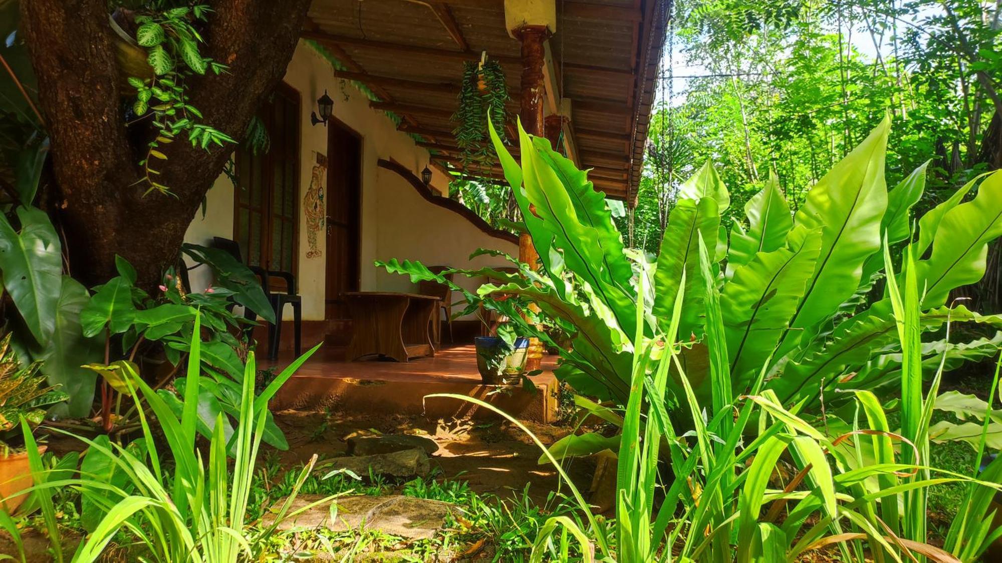 Guest house Jaana Guest