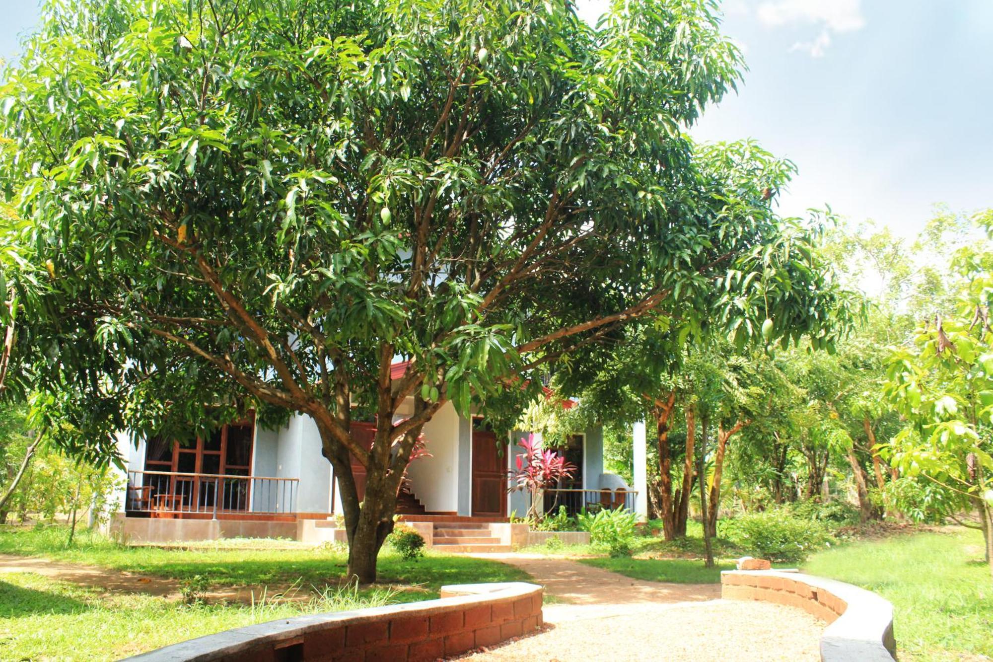 Hotel Hut Nature Sigiriya