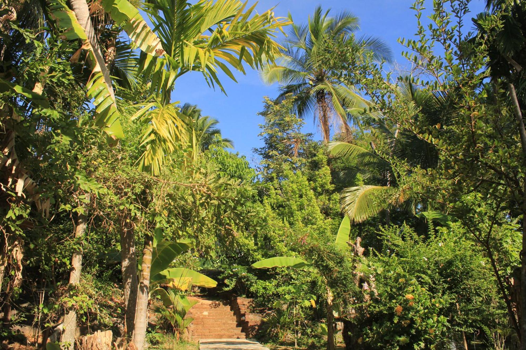 Serenity Sigiri Resort