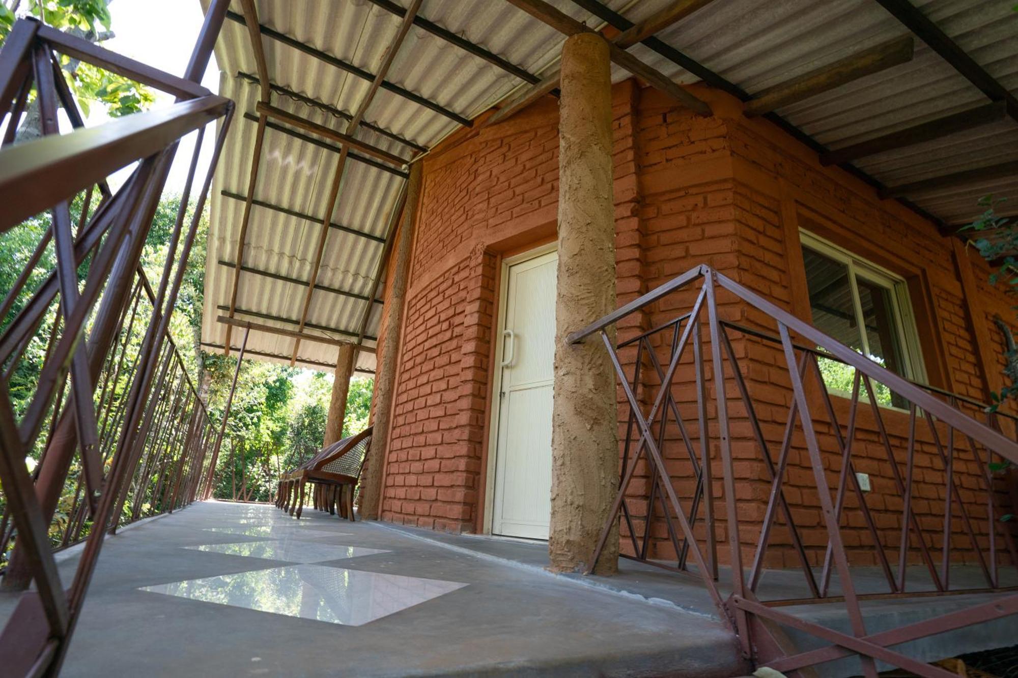 The Thick Forest Lodge *