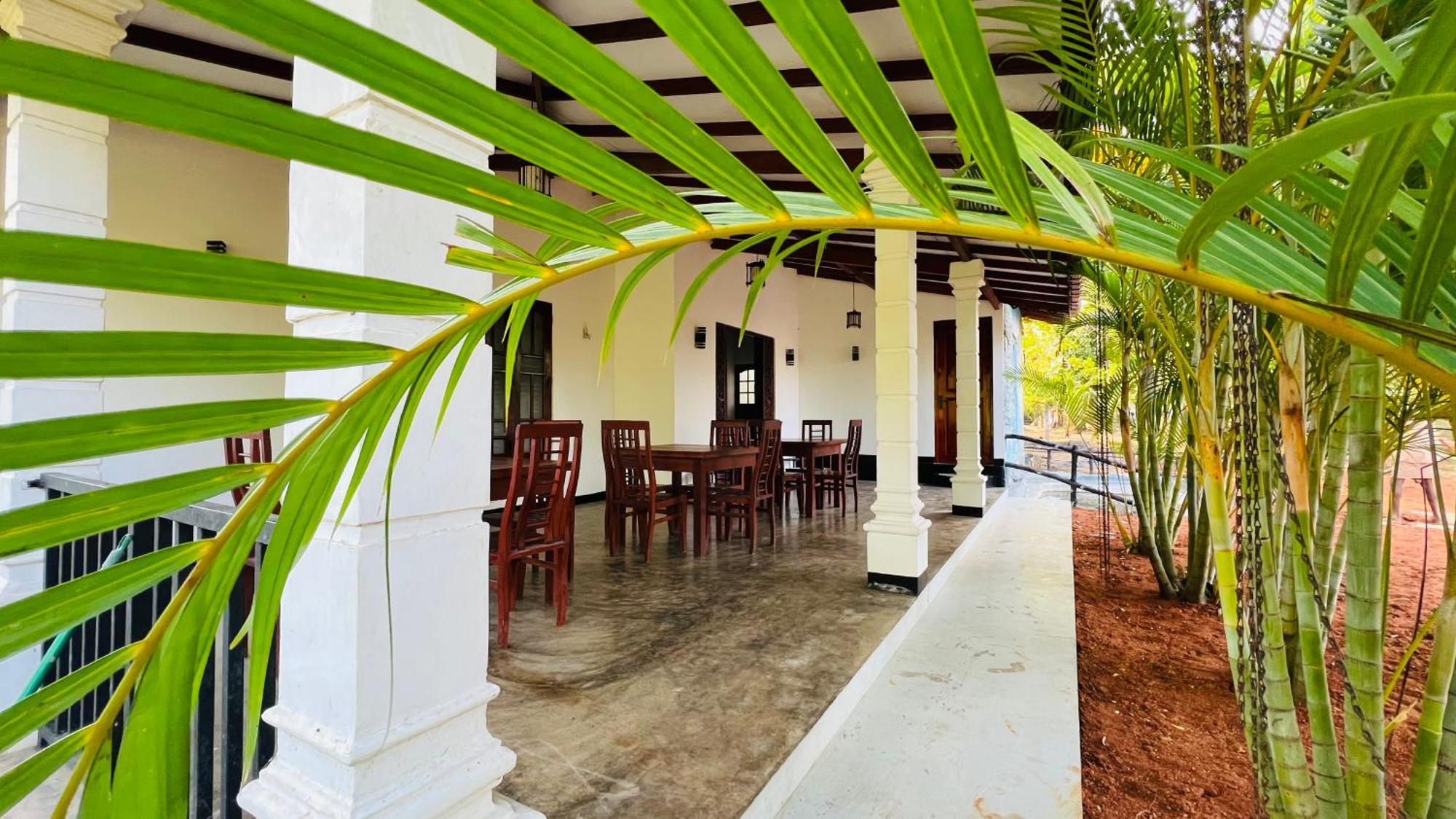Rock Elephant Corridor Homestay *