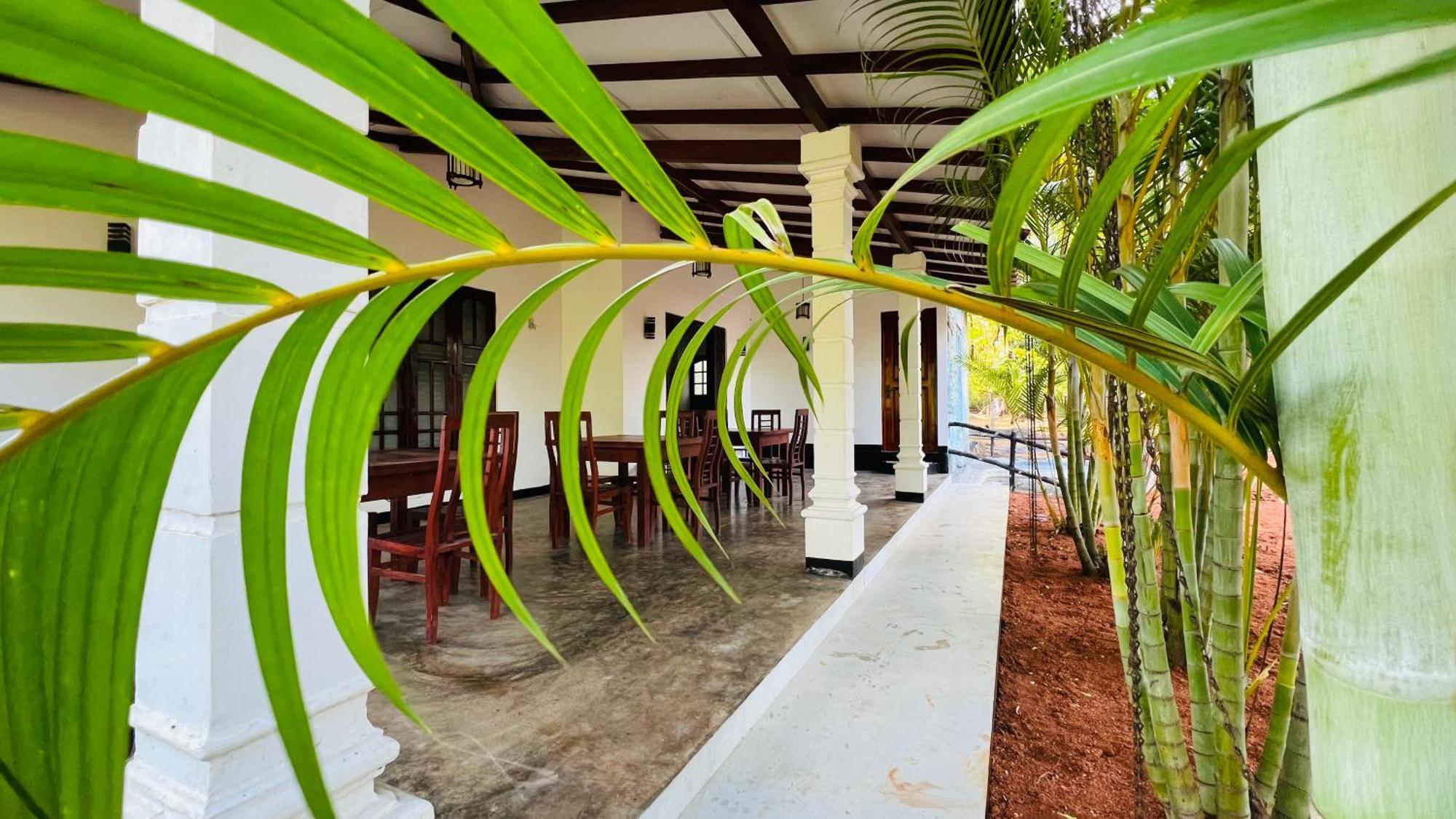Rock Elephant Corridor Homestay *