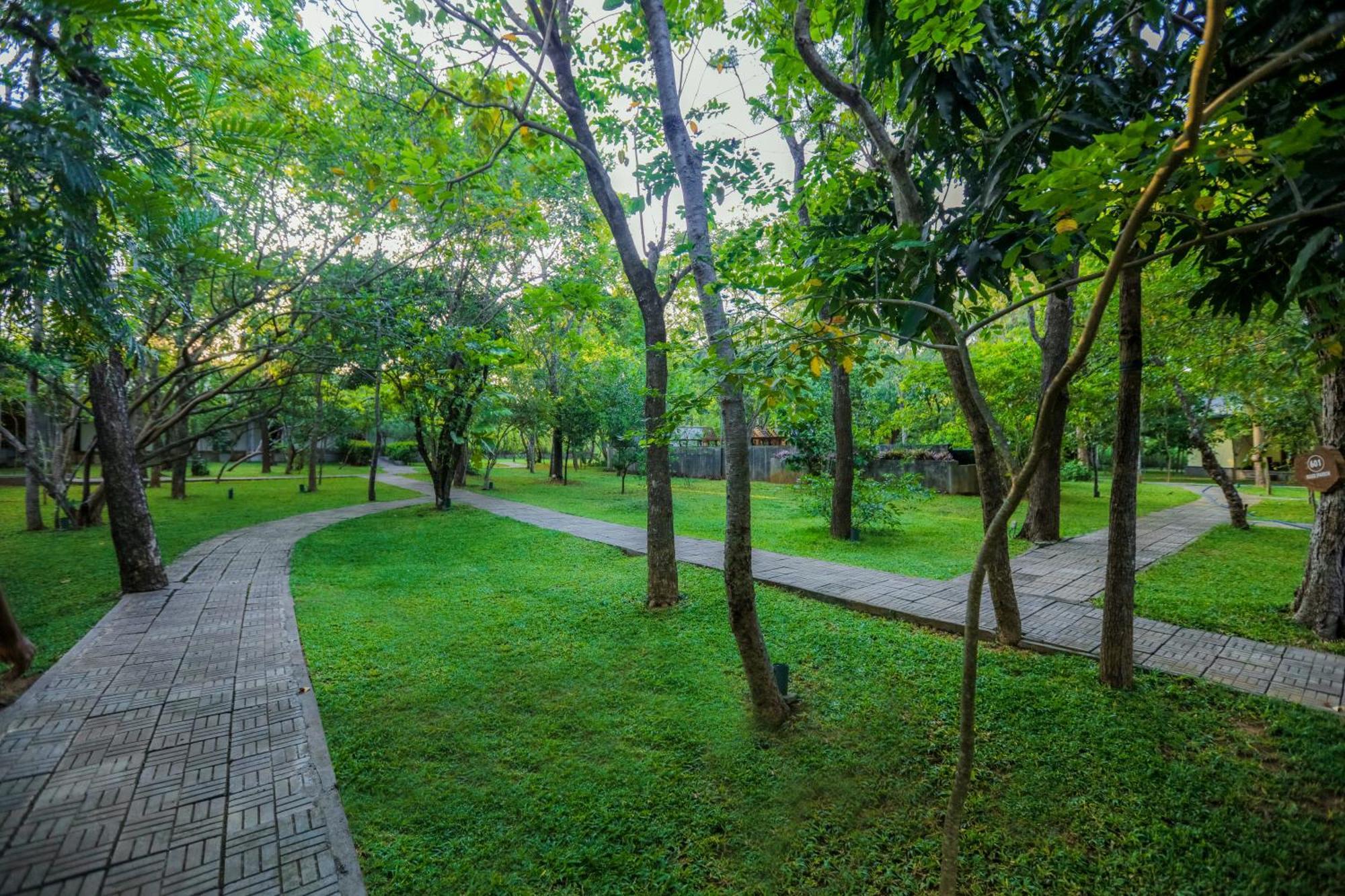 Sigiri Asna Nature 3*