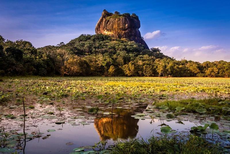 Thilina Bed & Breakfast Sigiriya