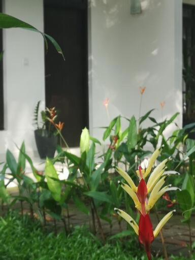 Bird Paradise * Sigiriya