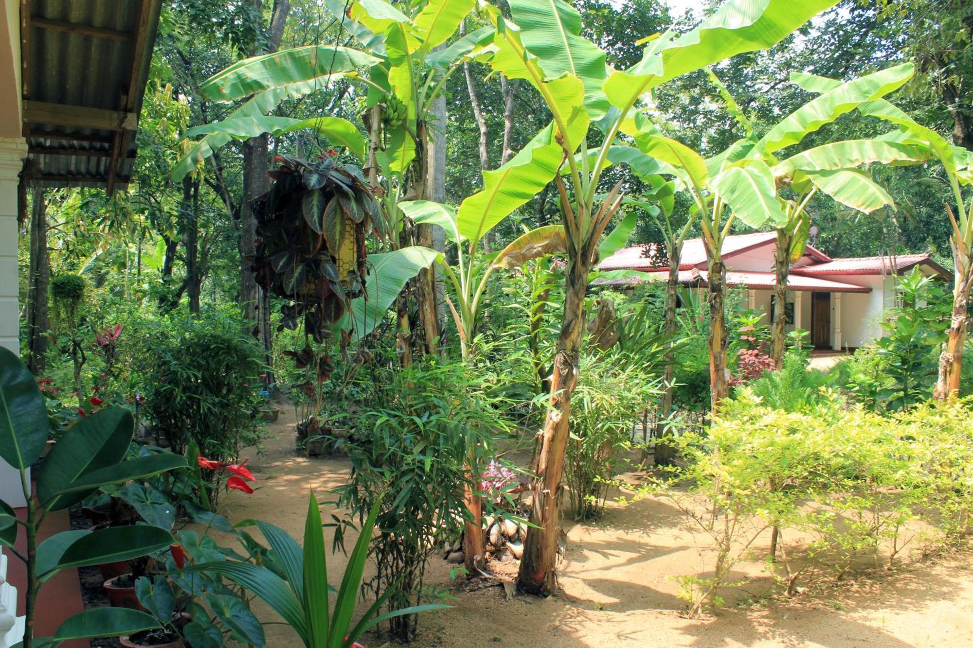 Suba * Sigiriya