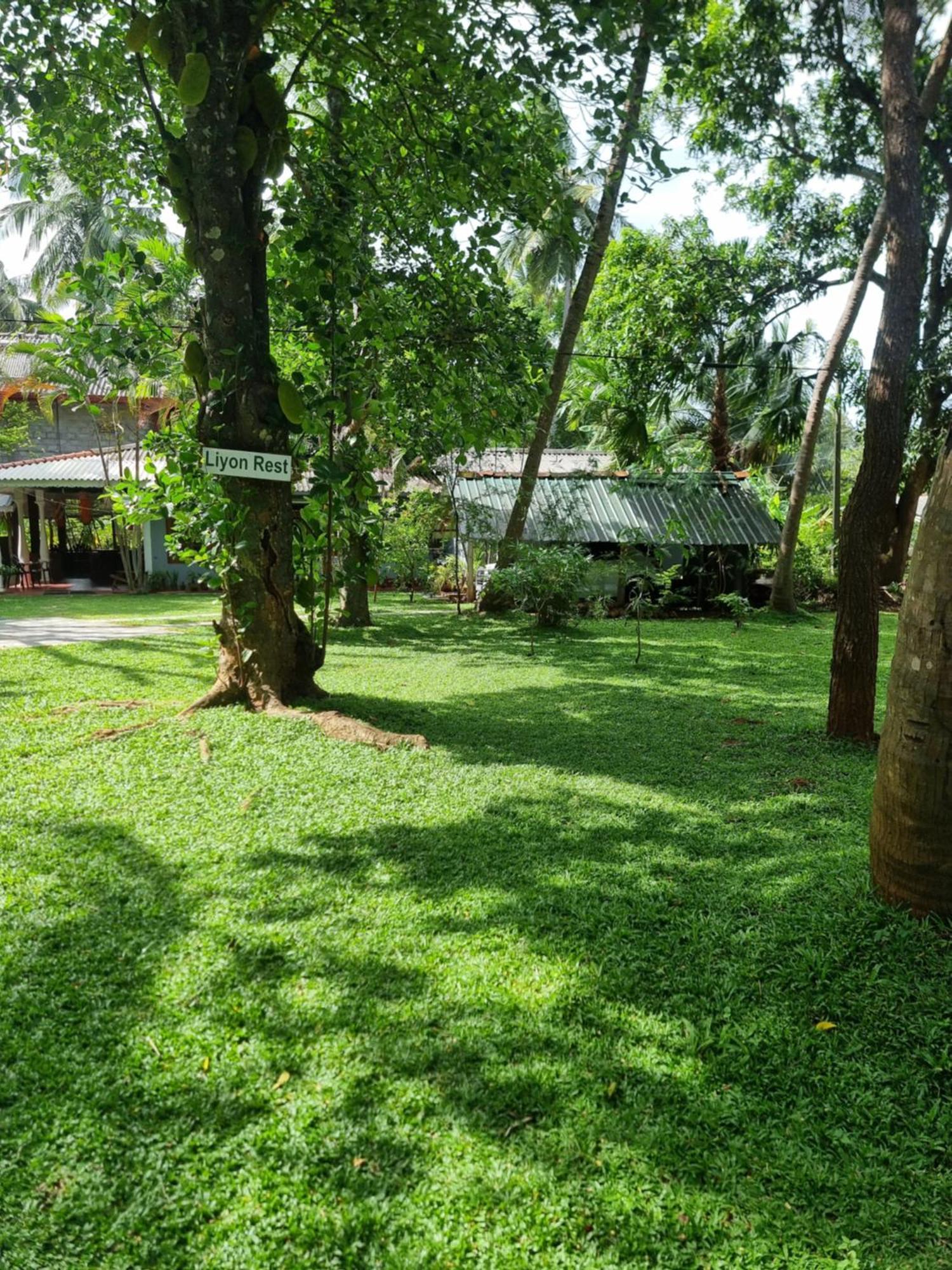 Liyon Rest