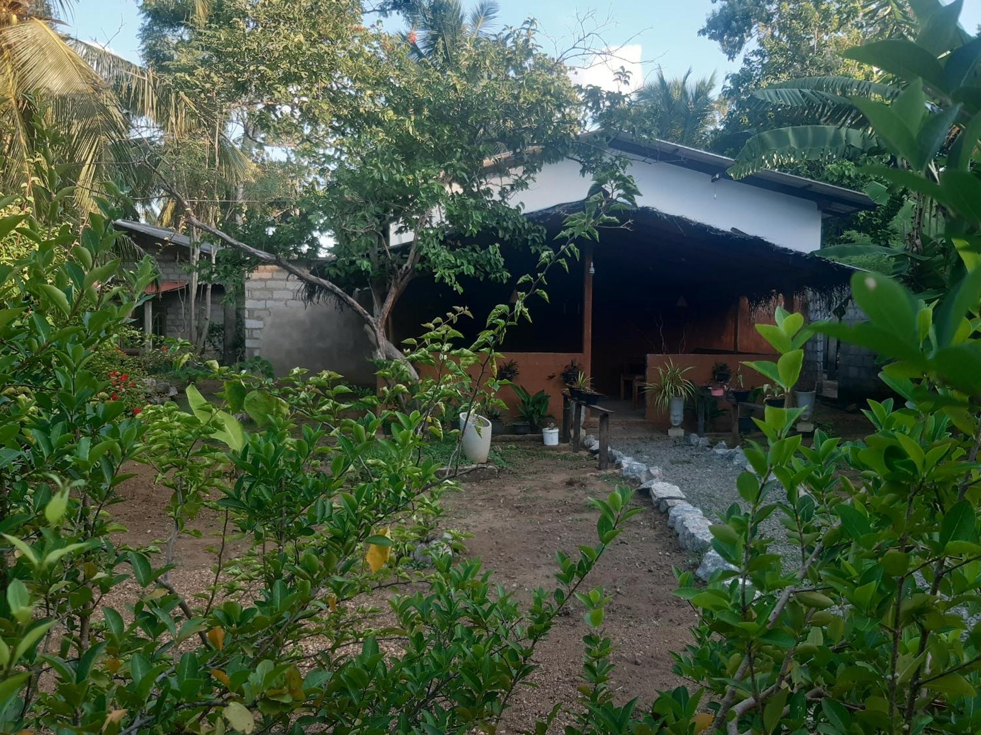 Homestay Danu Sigiriya