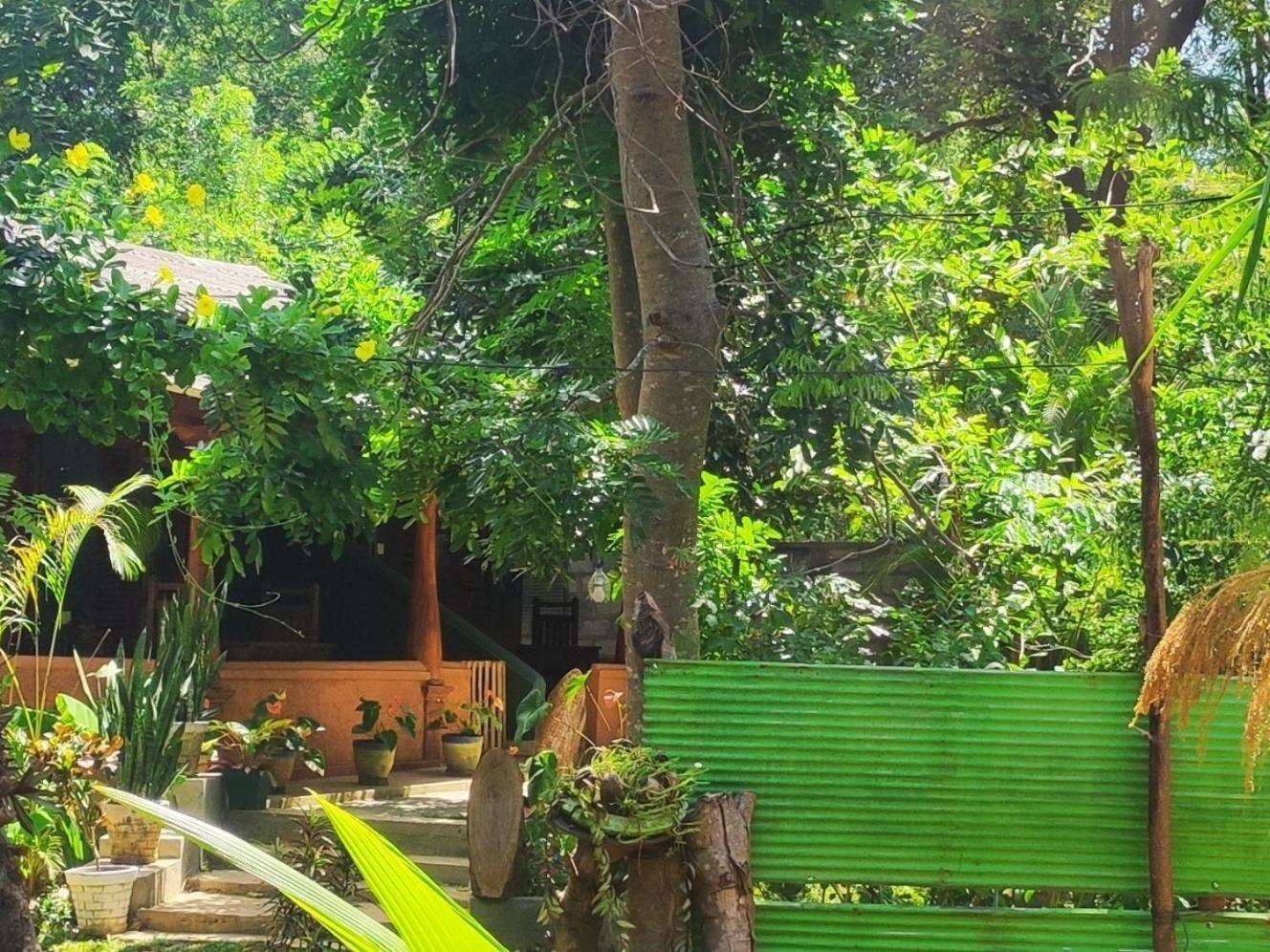 Jaana Guest Sigiriya