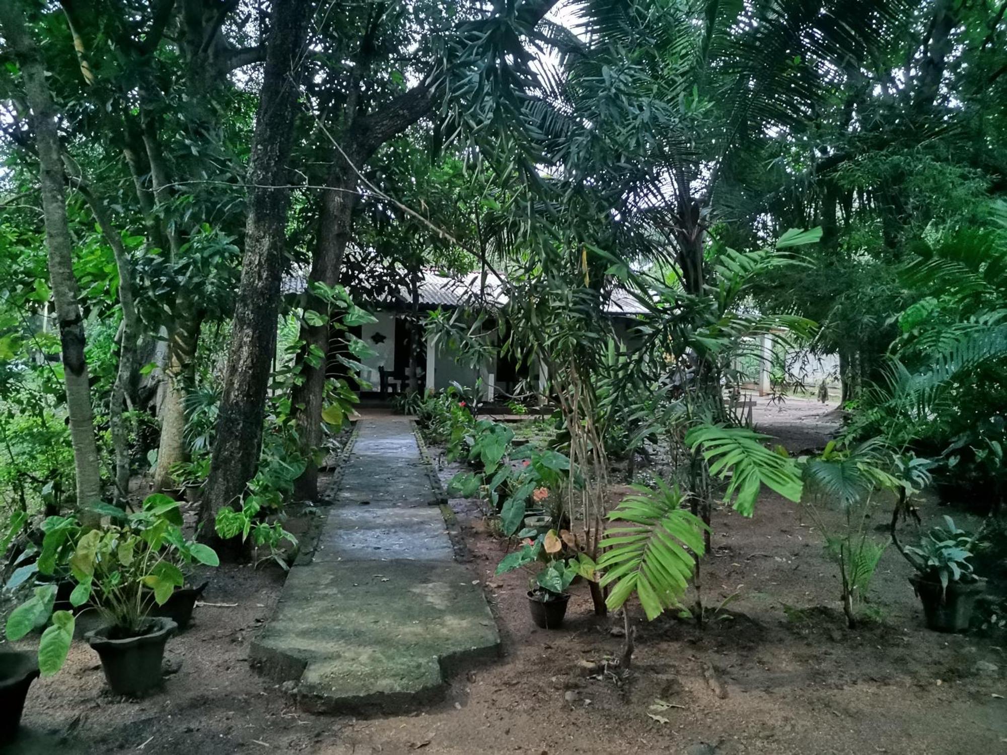 Resort Sigiri Mango Garden Eco Sigiriya