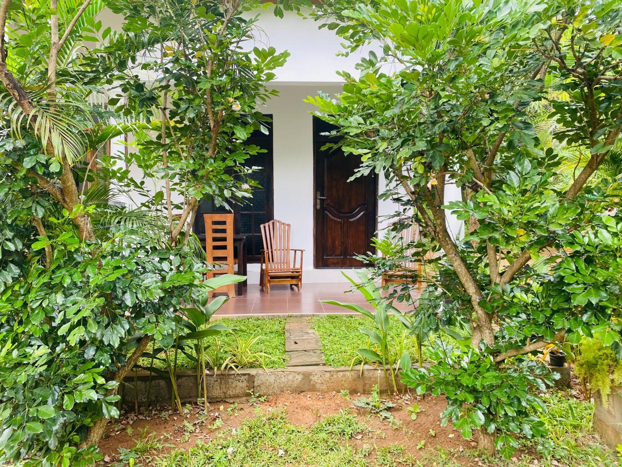 Fairview Dill * Sigiriya