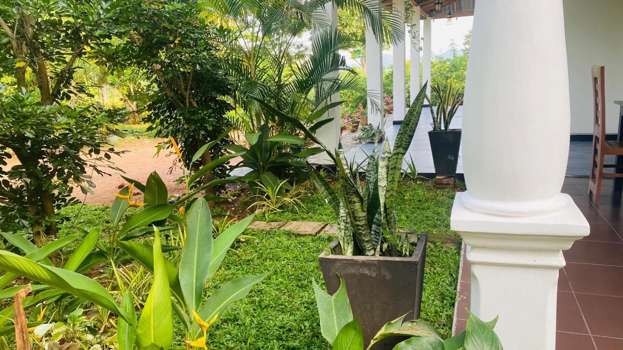 Fairview Dill Homestay *