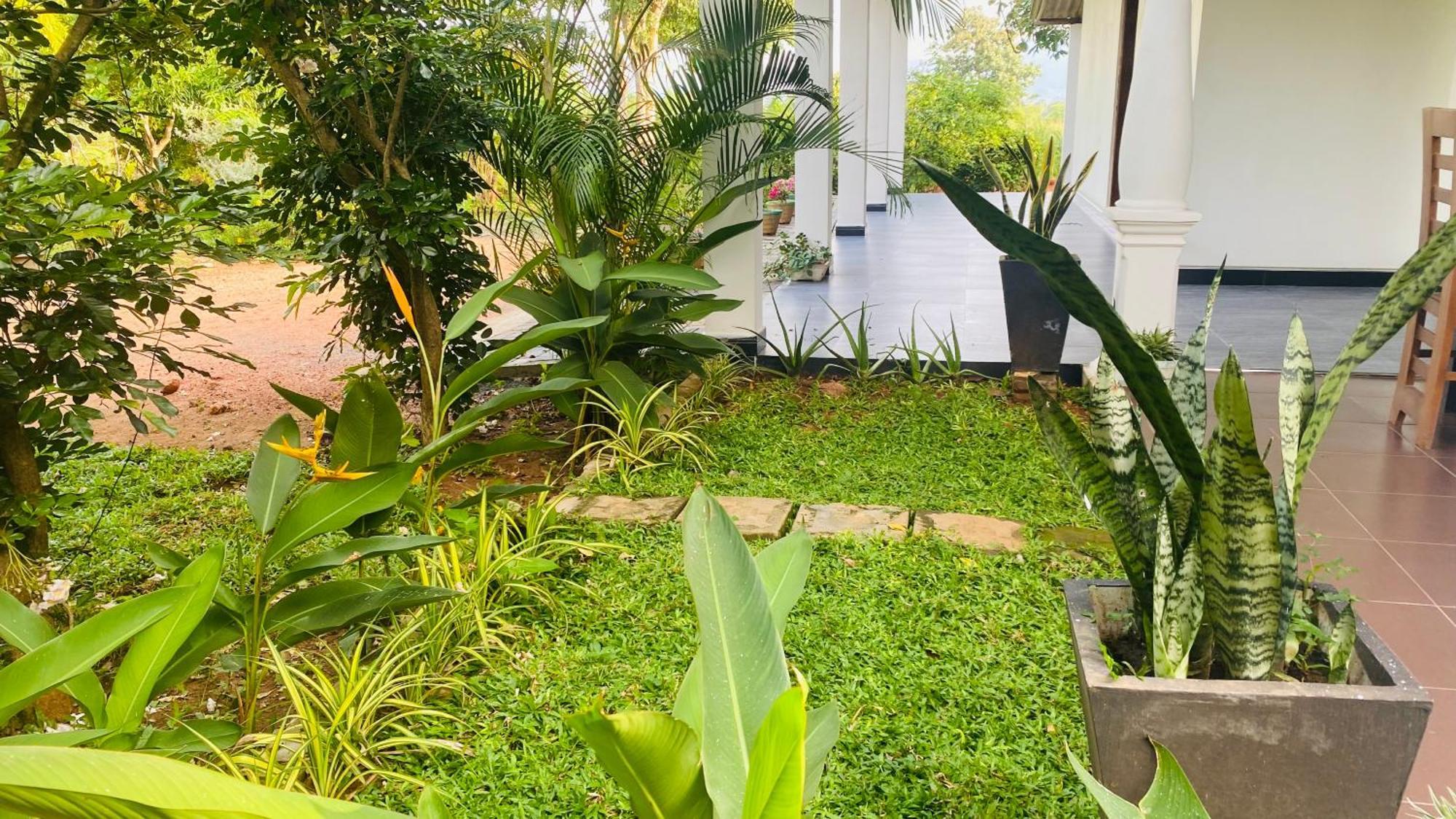 Homestay Fairview Dill *