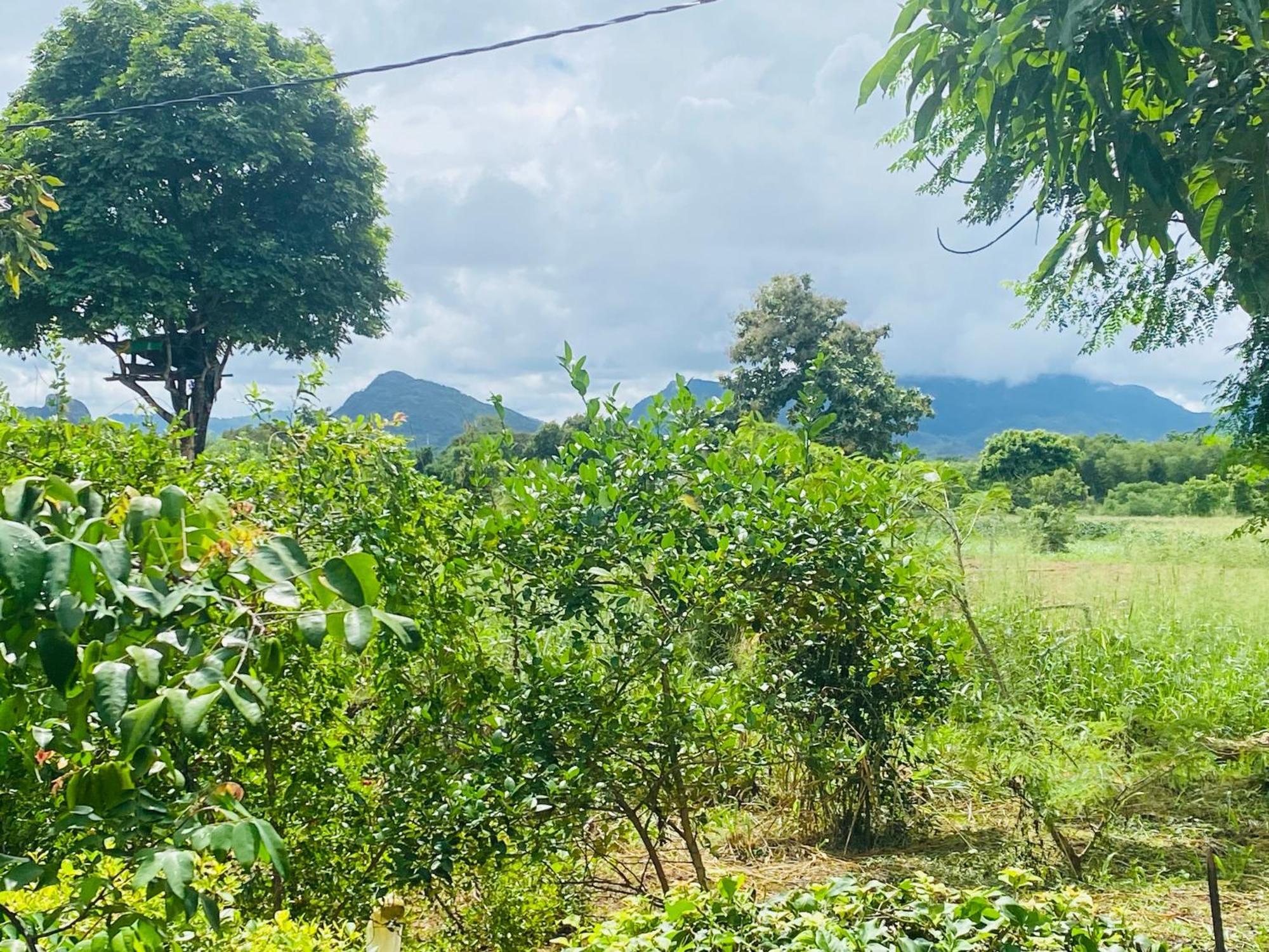 Fairview Dill Homestay Sigiriya