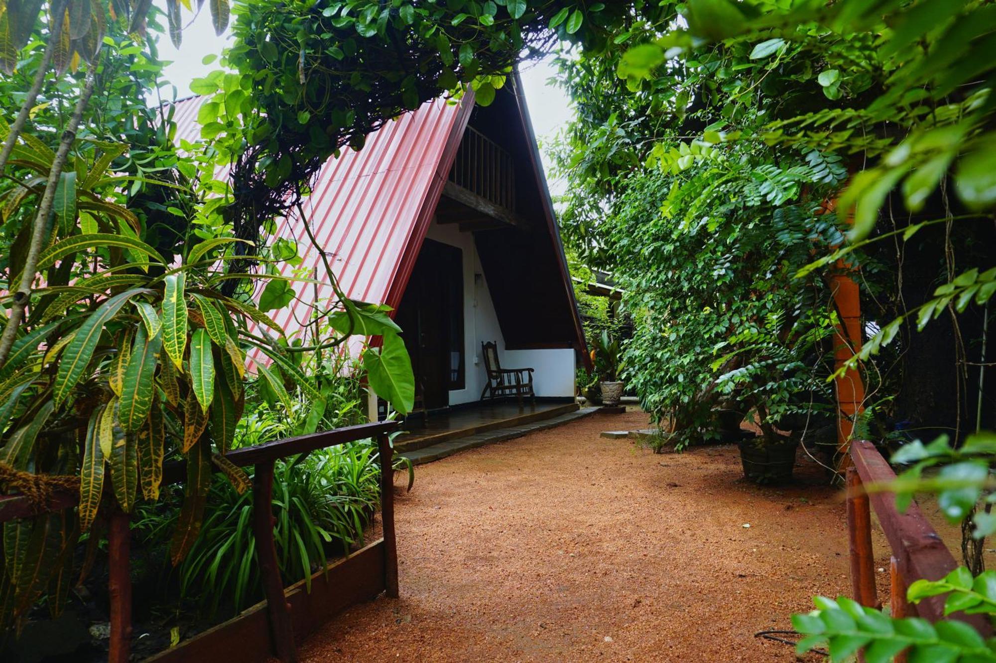 Sigiri Sky & Treehouse Bed & Breakfast Sigiriya
