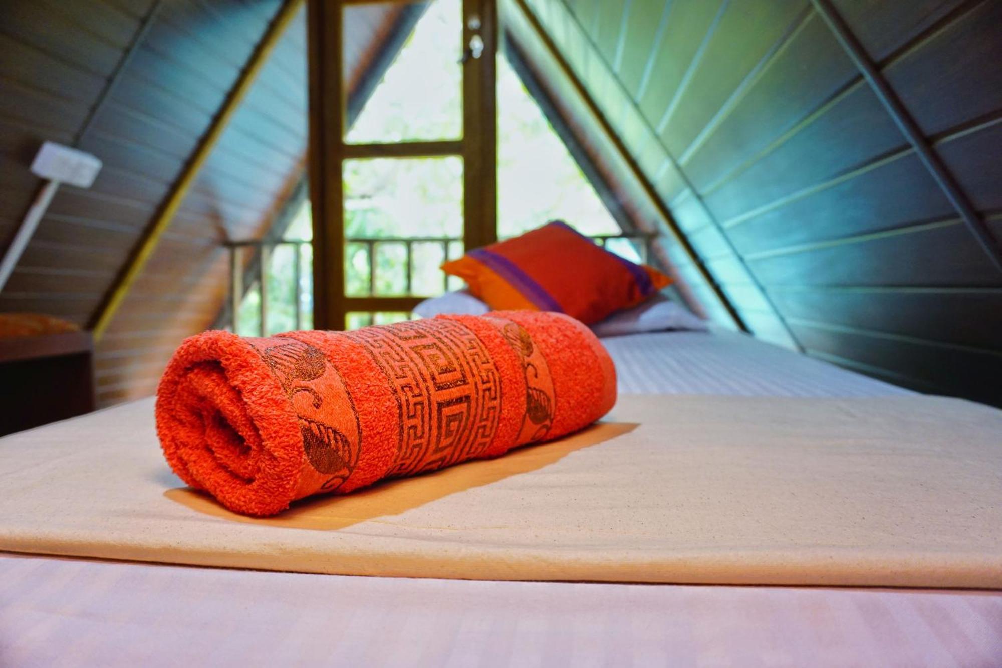 Sigiri Sky & Treehouse Bed & Breakfast 2*