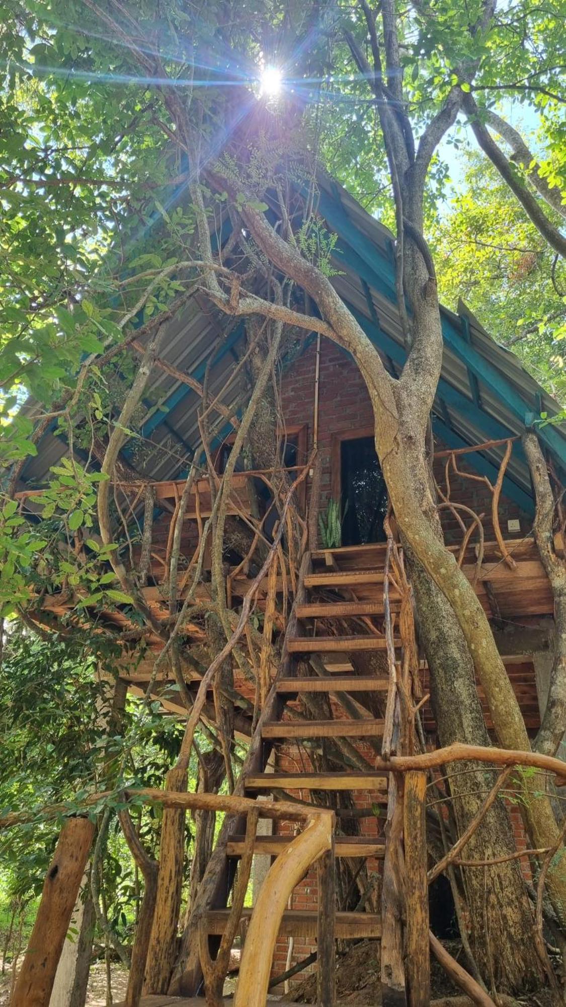 Ali Adi Eco Lodge