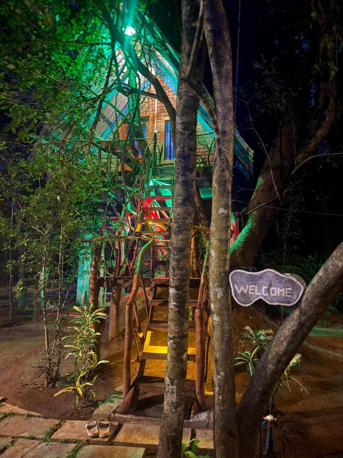 Lodge Ali Adi Eco