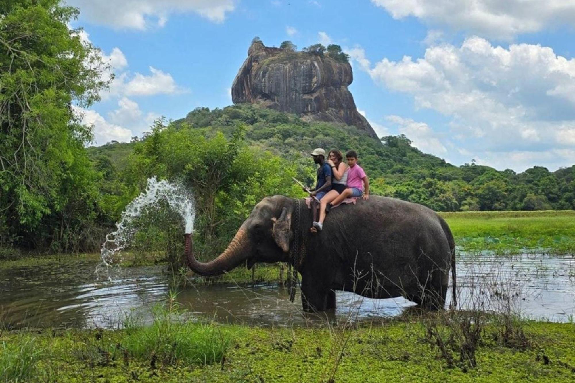 The Wild Elephant 5*
