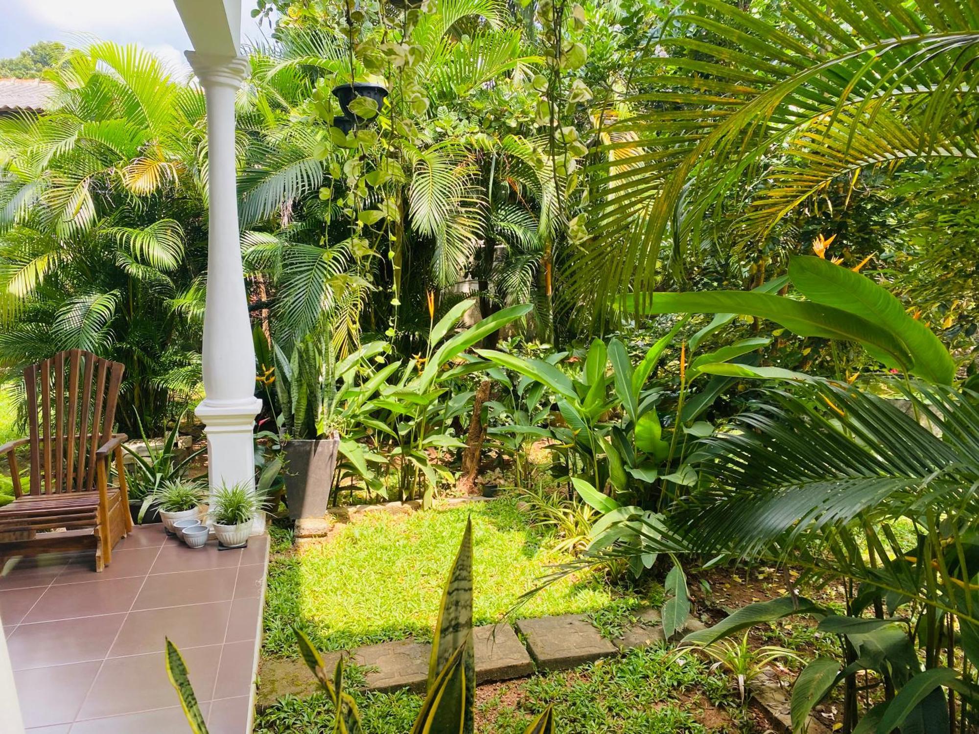 Fairview Dill Sigiriya