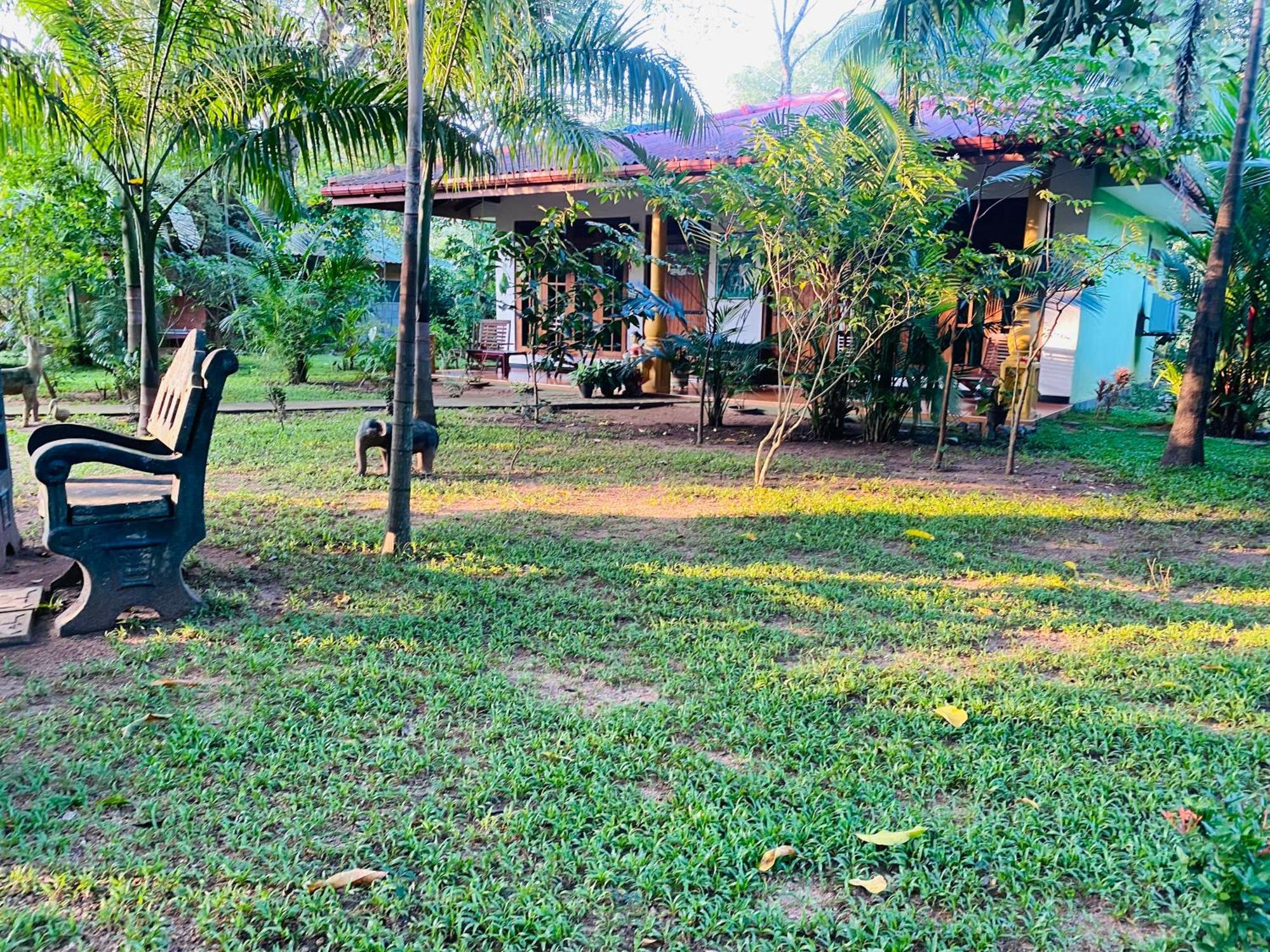 Ranasinghe Nature