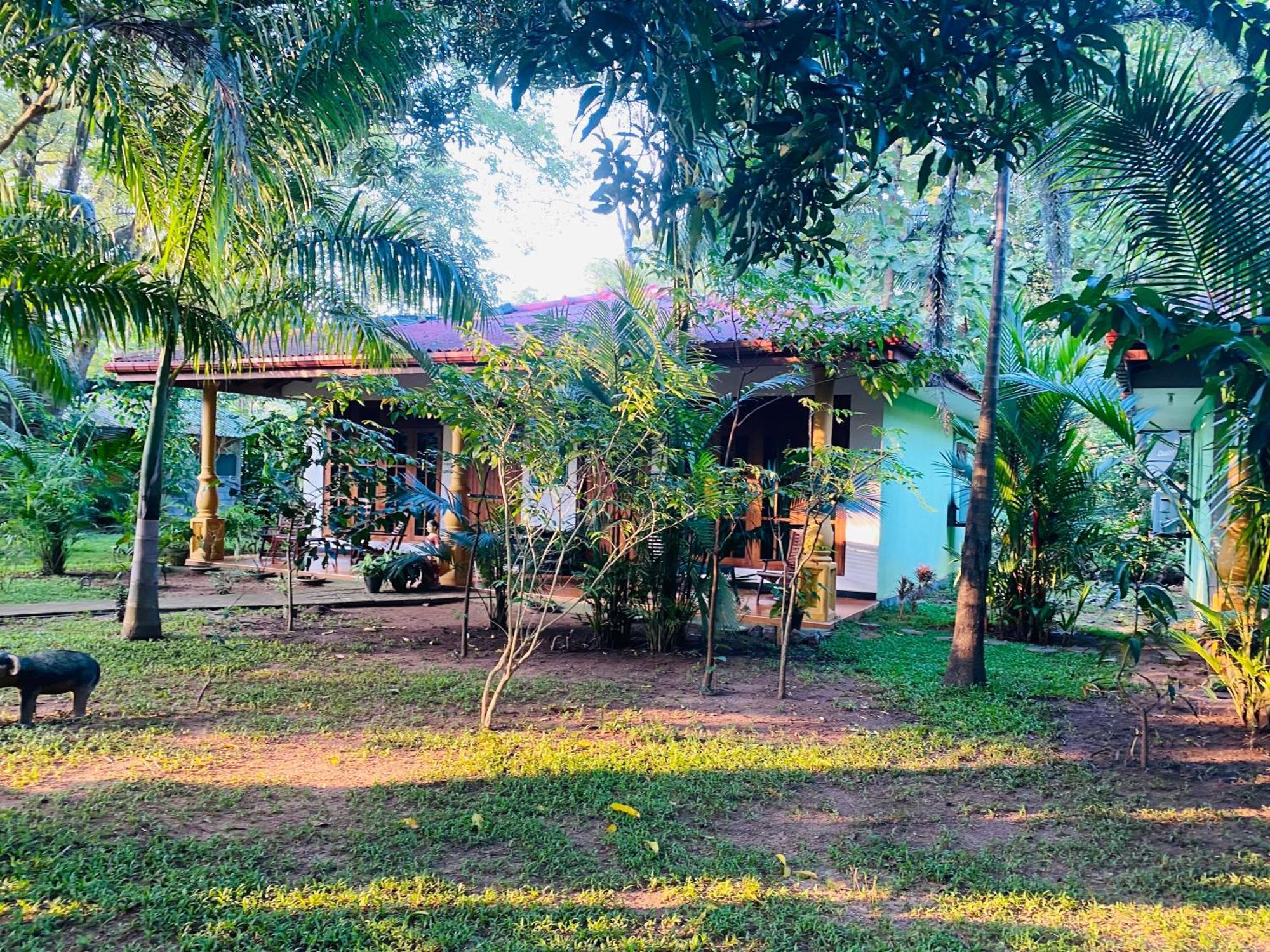Ranasinghe Nature Sigiriya
